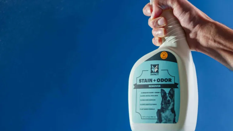 How to Get Rid of Mouse Odor in Car