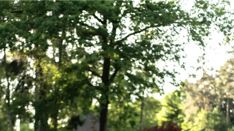 Is The Alfa Romeo Reliable?