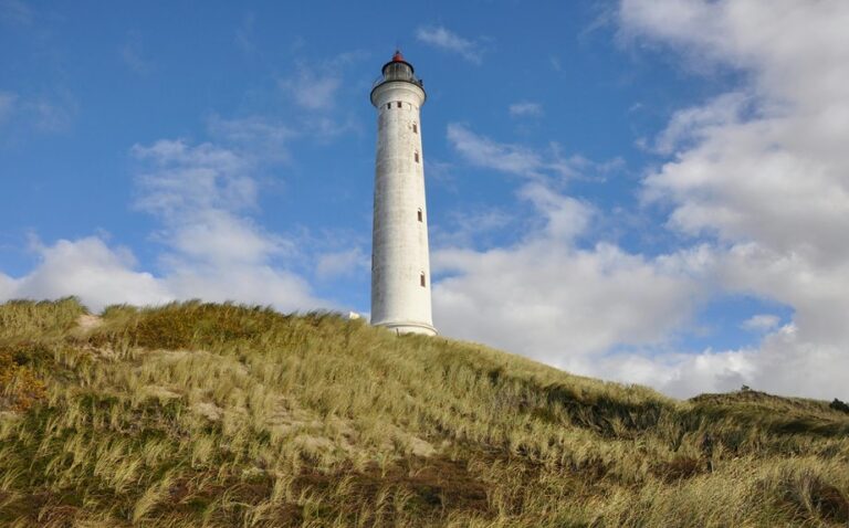 coolant reservoir under hood