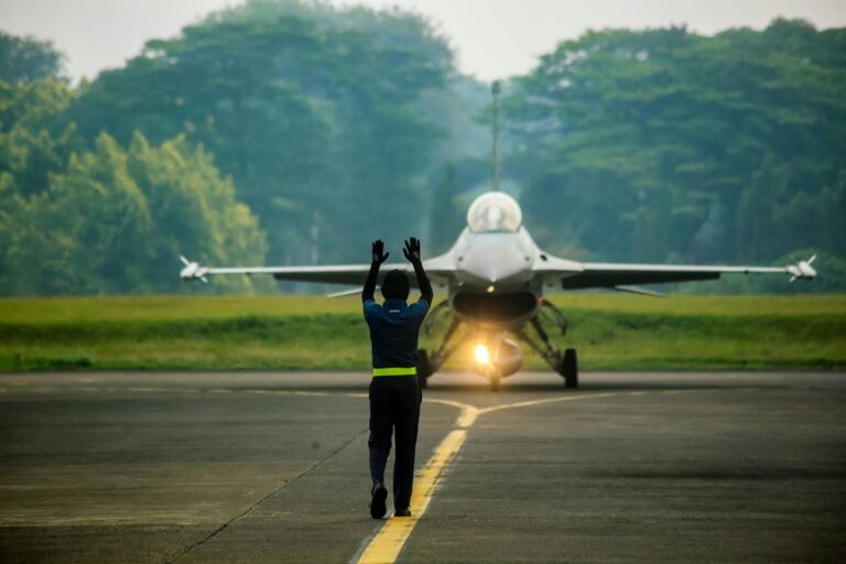 transport small trees safely