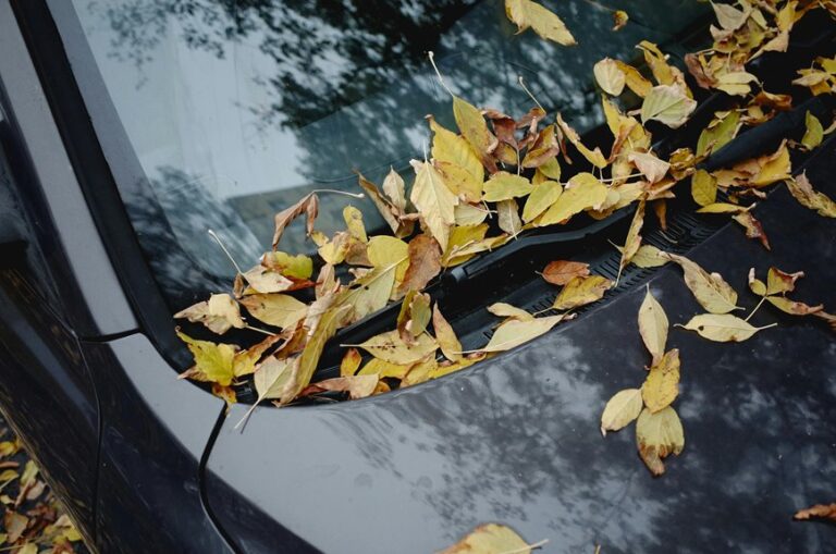 safe rainy car jumpstart