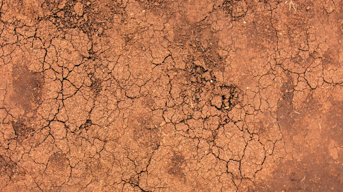 Understanding Dry Rot in Car Tires: Dangers and Definition